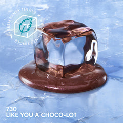 CoverGirl Clean Fresh Yummy Plumper in Like You a Choco-lot swatch
